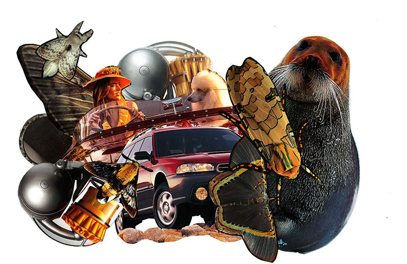 Collage 13